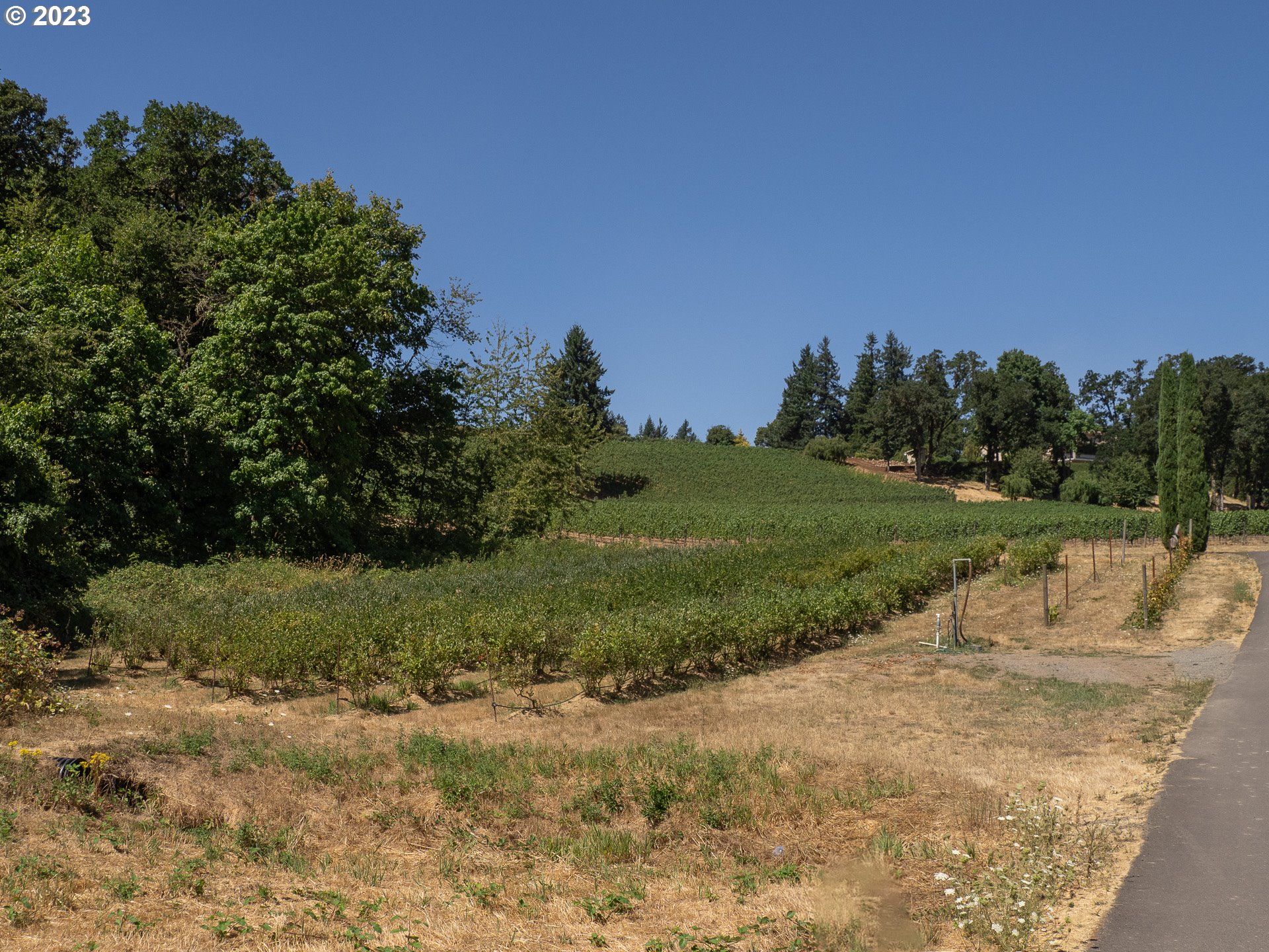 11300 SE WESTLAND LN