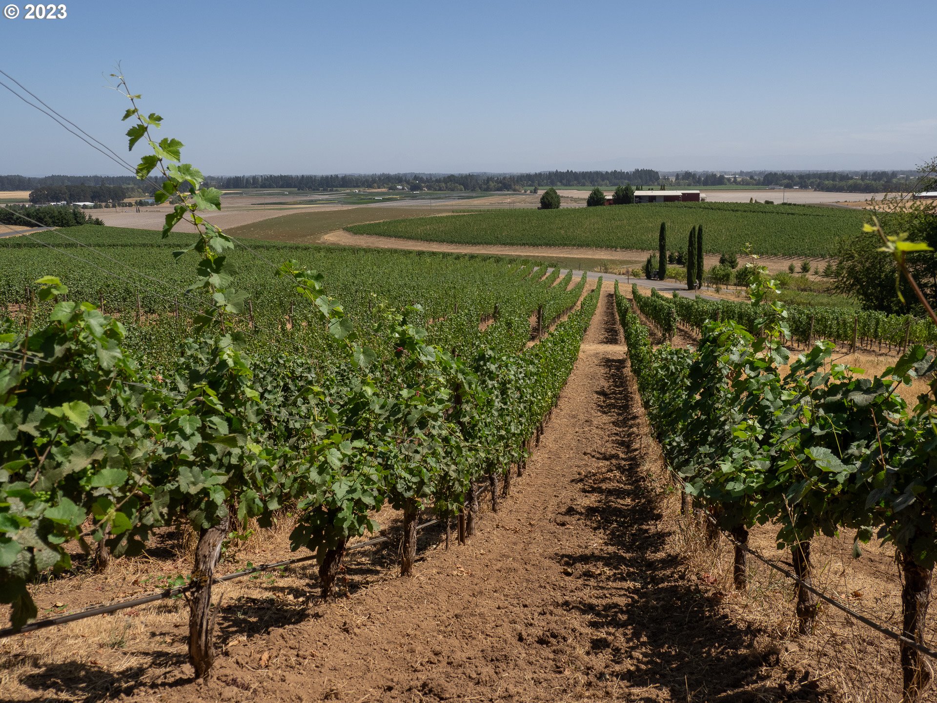 11300 SE WESTLAND LN