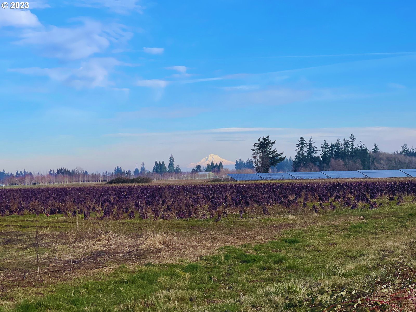 18936 BUTTEVILLE RD NE