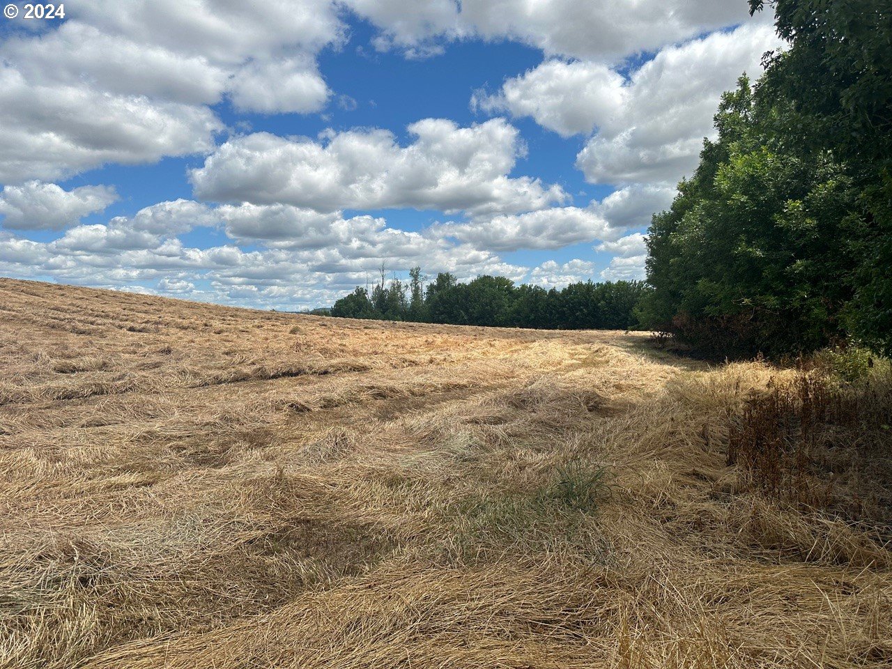 E Ellendale AVE 1402, Dallas Unit: 1402