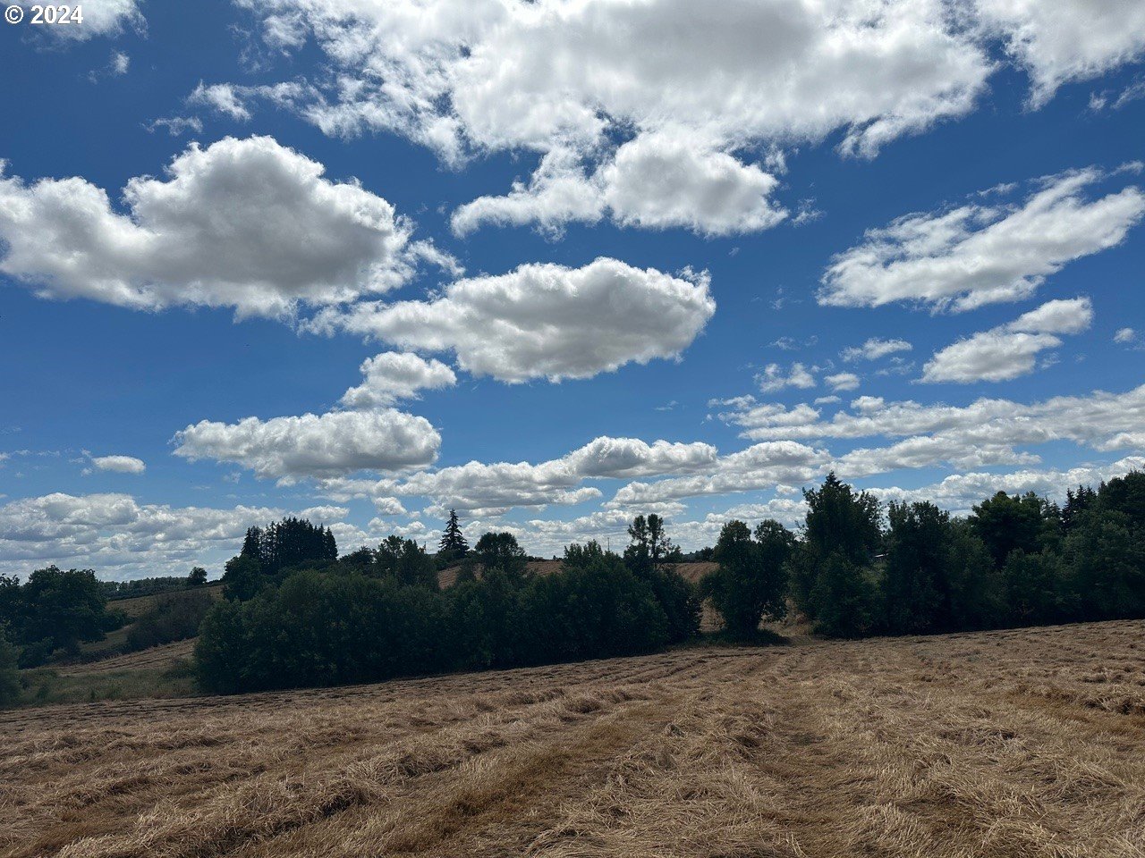 E Ellendale AVE 1402, Dallas Unit: 1402