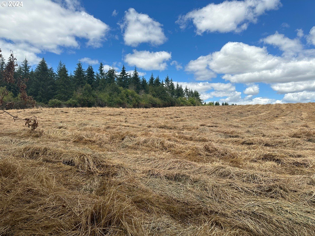 E Ellendale AVE 1402, Dallas Unit: 1402