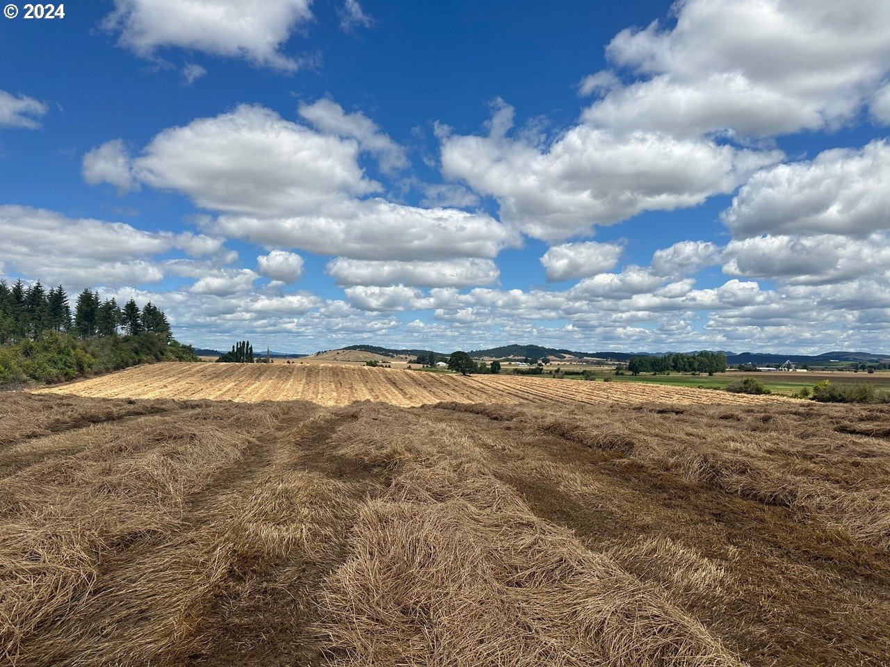 E Ellendale AVE 1402, Dallas Unit: 1402