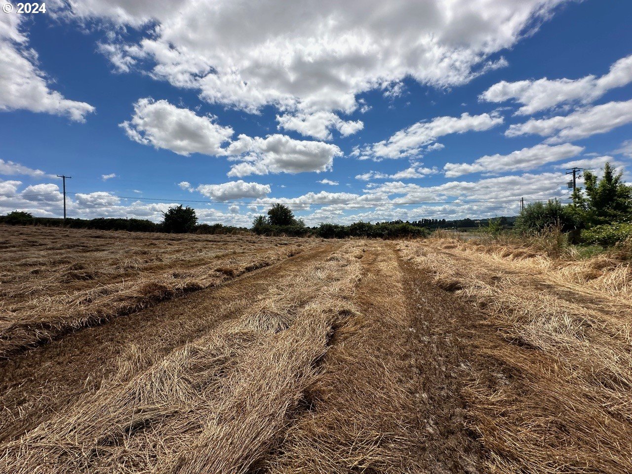 E Ellendale AVE 1402, Dallas Unit: 1402