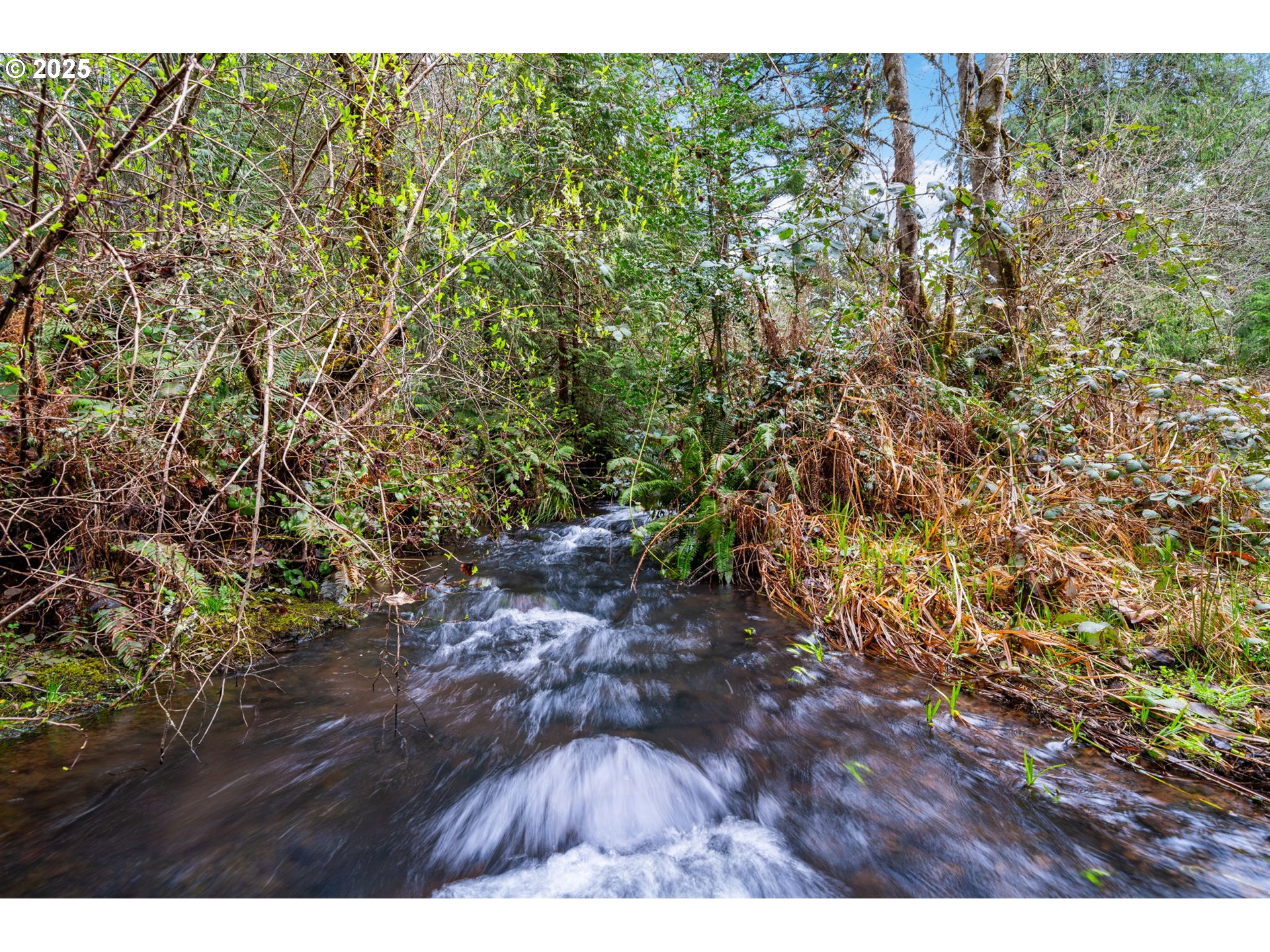 24174 S LOG HOUSE RD