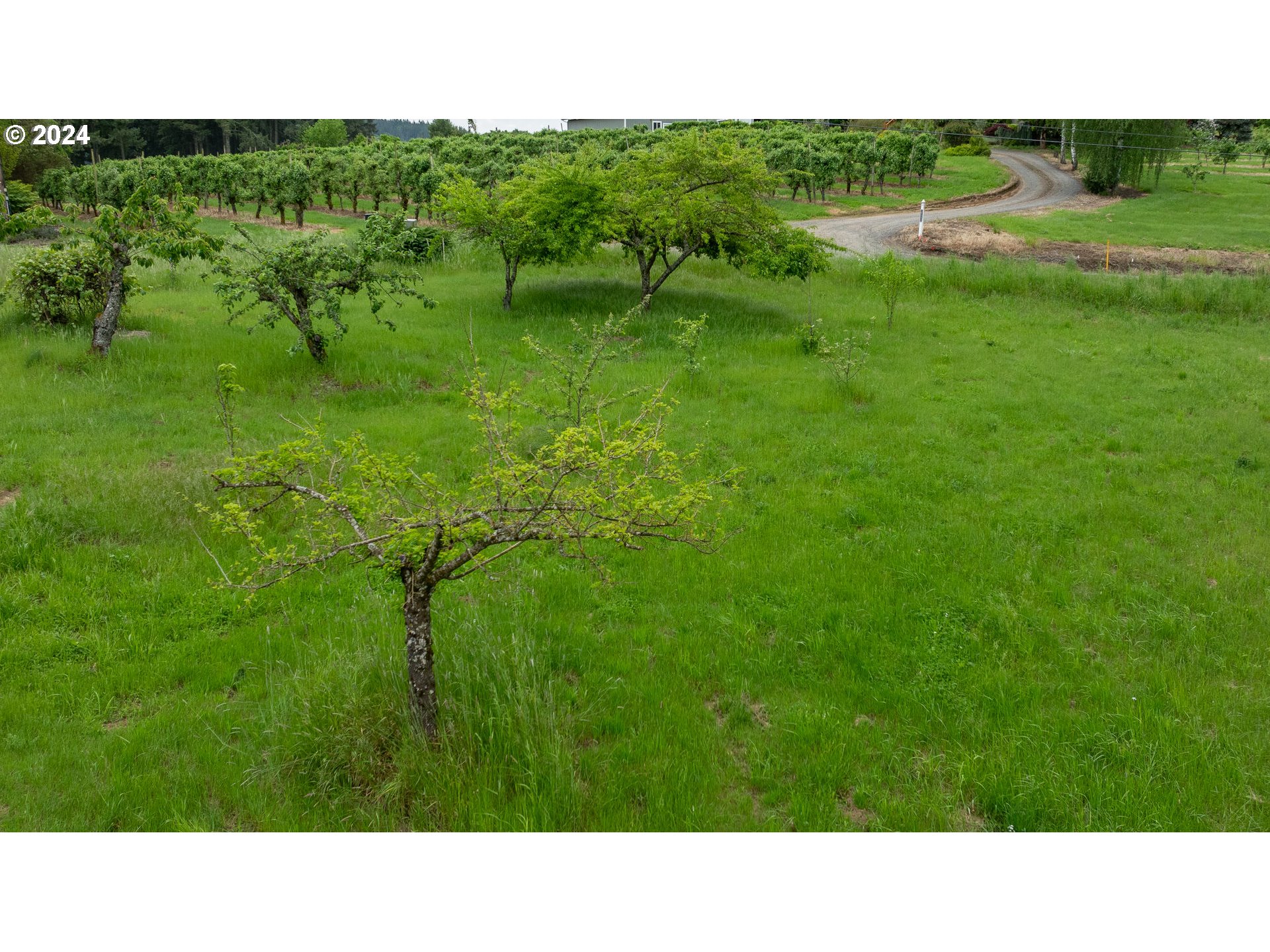 26130 SW CHEHALEM STATION RD