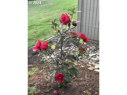 6735 CONTINENTAL CIR