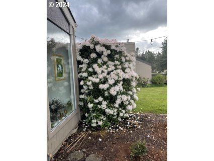 6735 CONTINENTAL CIR