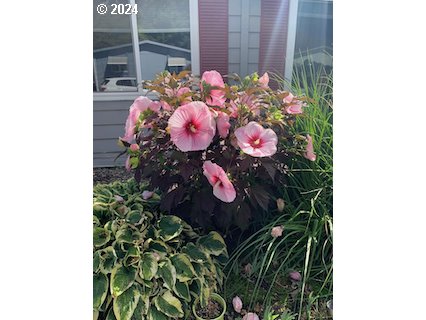 11694 SW ROYAL VILLA DR