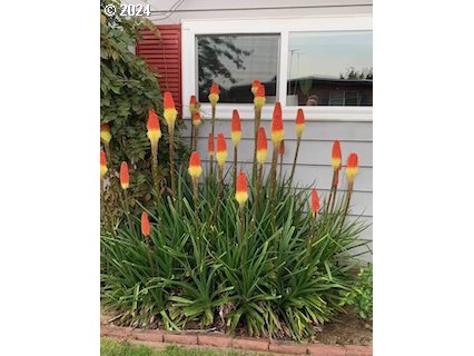 11694 SW ROYAL VILLA DR