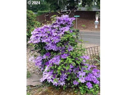 11694 SW ROYAL VILLA DR