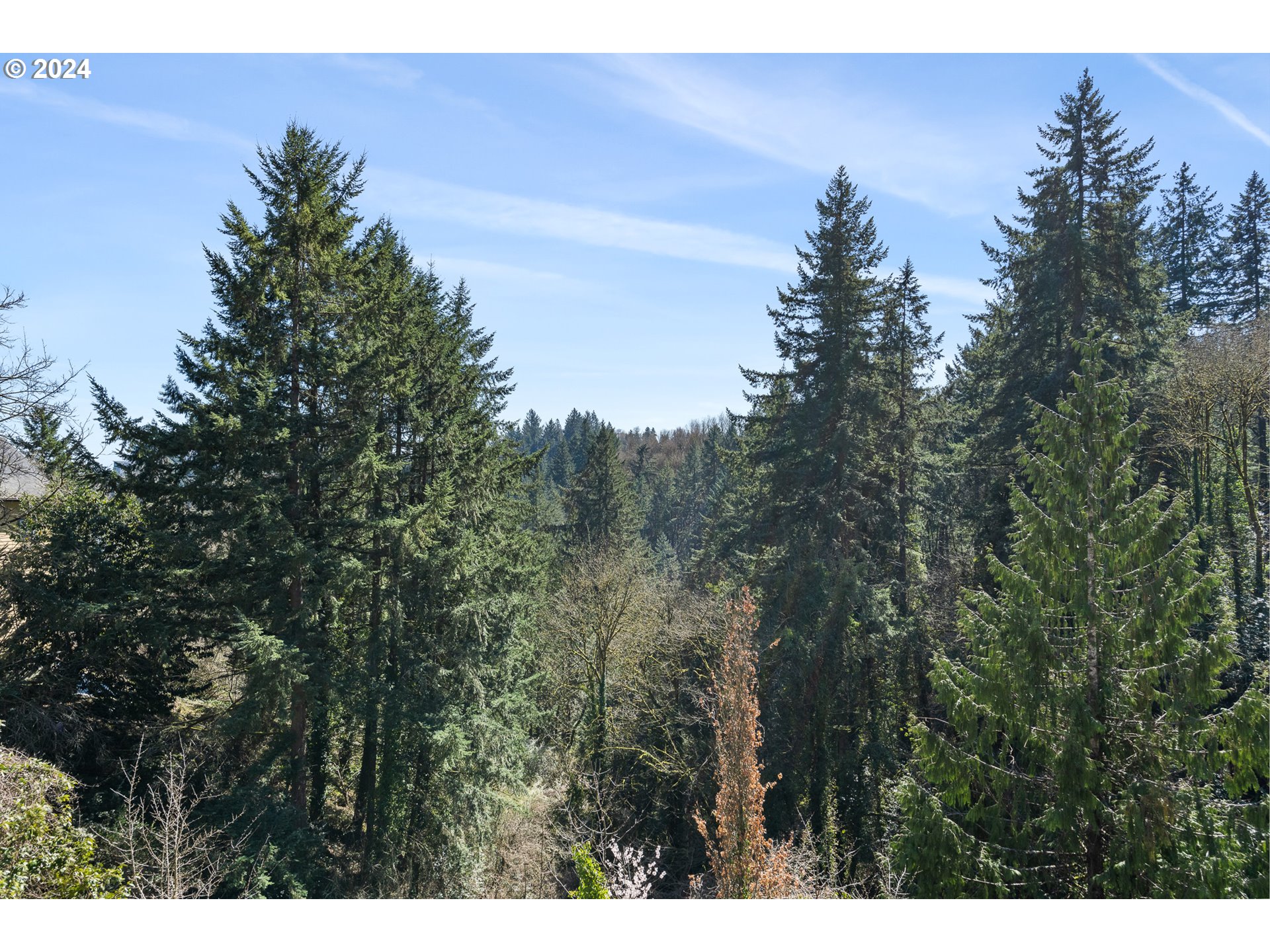 1440 SW BROADWAY DR, Portland