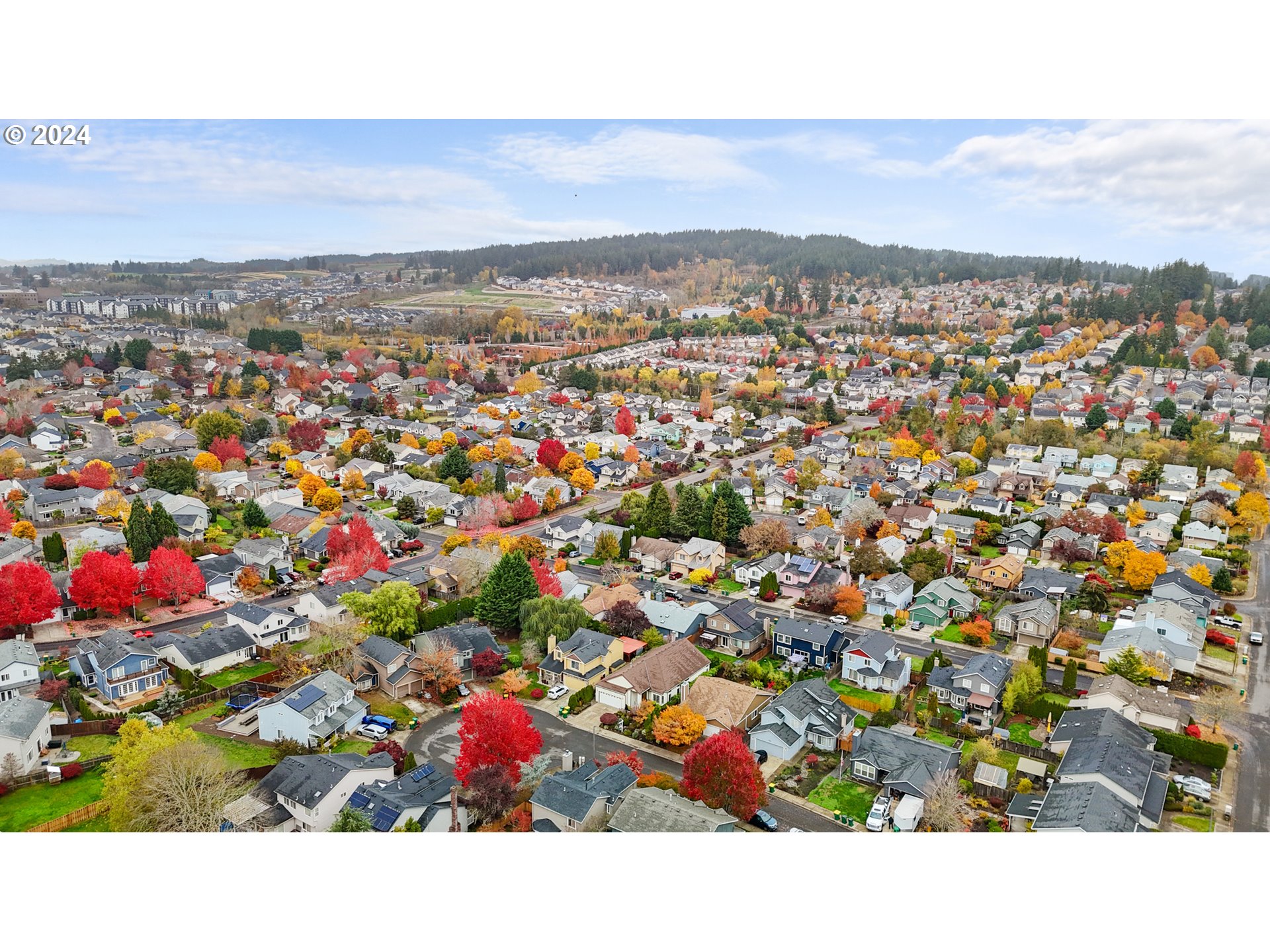 15538 SW BRISTLECONE WAY