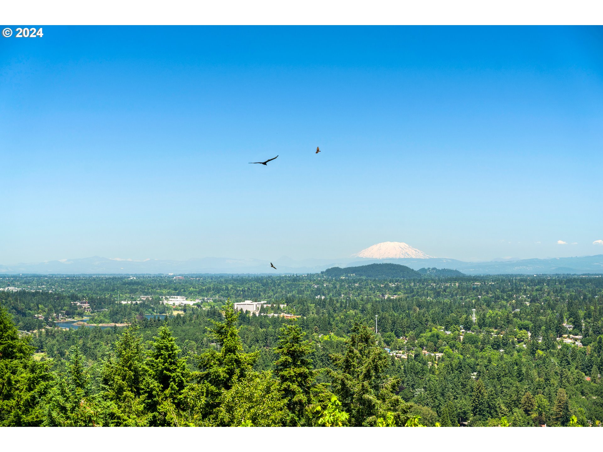 1777 SKYLAND DR, Lake Oswego