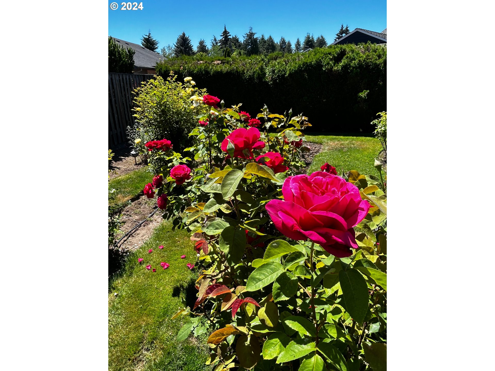 10060 SW CENTURY OAK DR