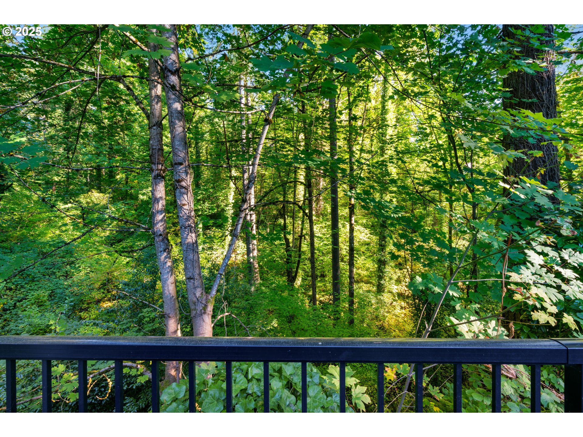 1670 SW HIGHLAND PKWY, Portland