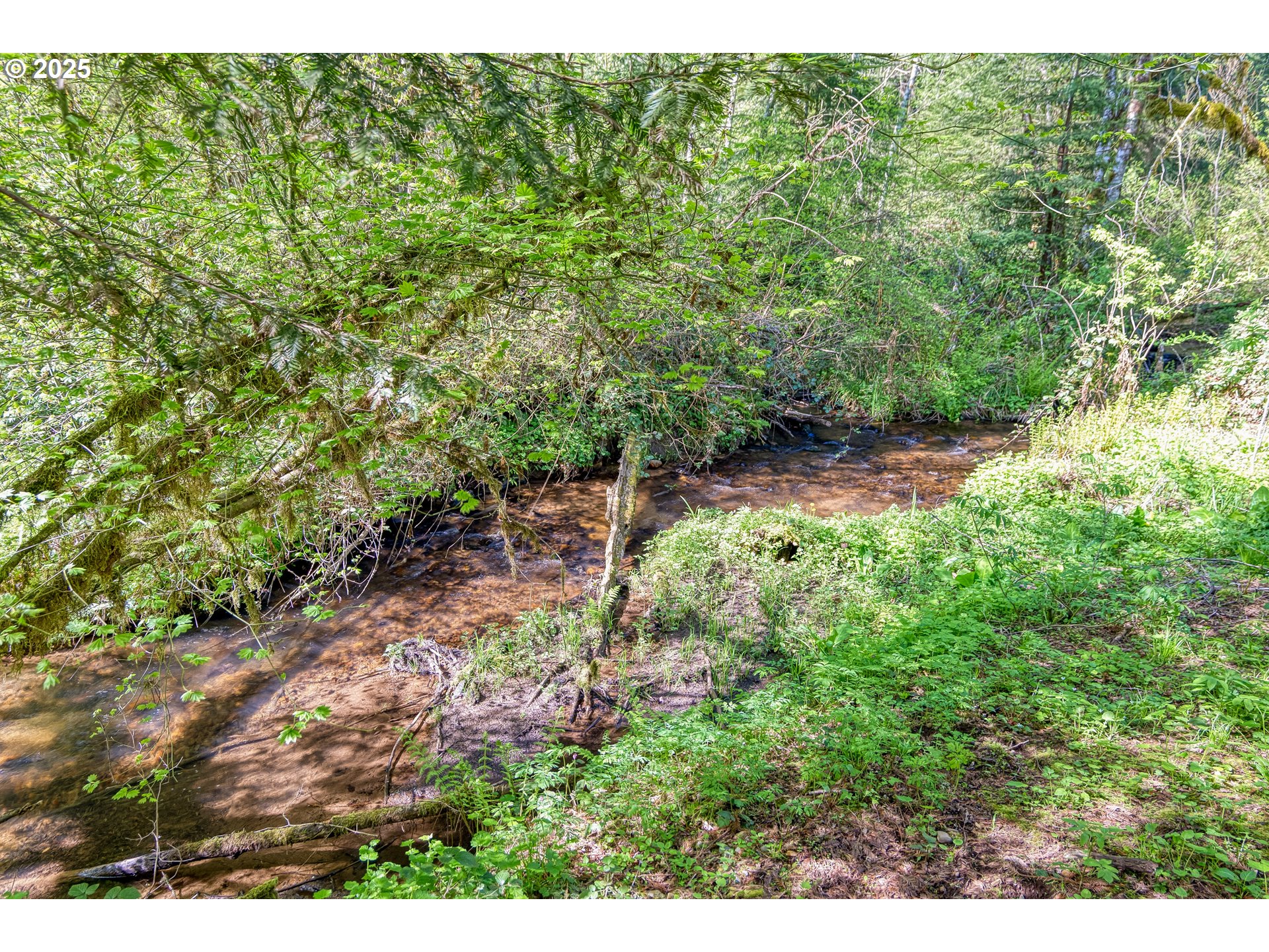 42440 SE WILDCAT MOUNTAIN DR