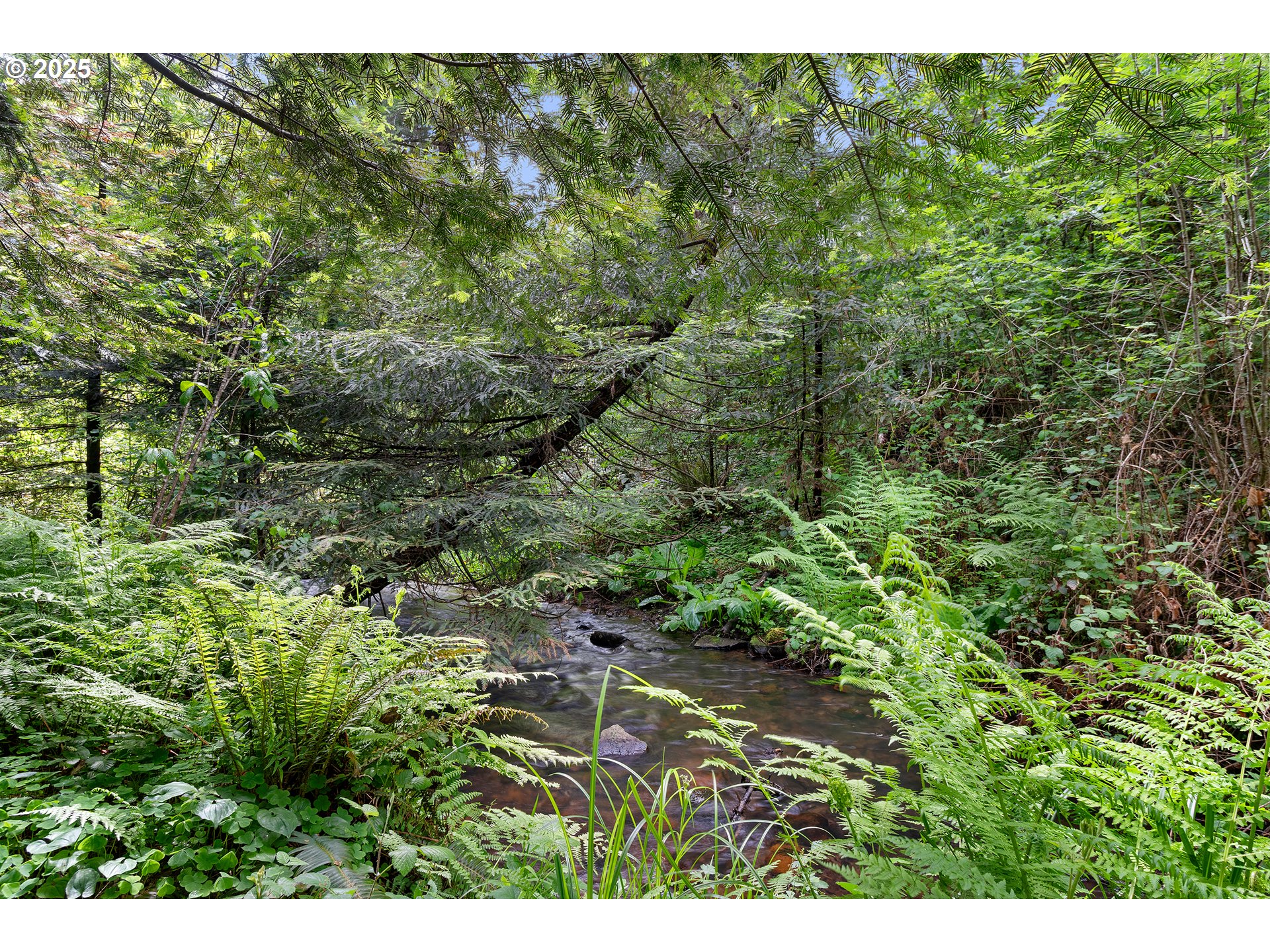 42440 SE WILDCAT MOUNTAIN DR