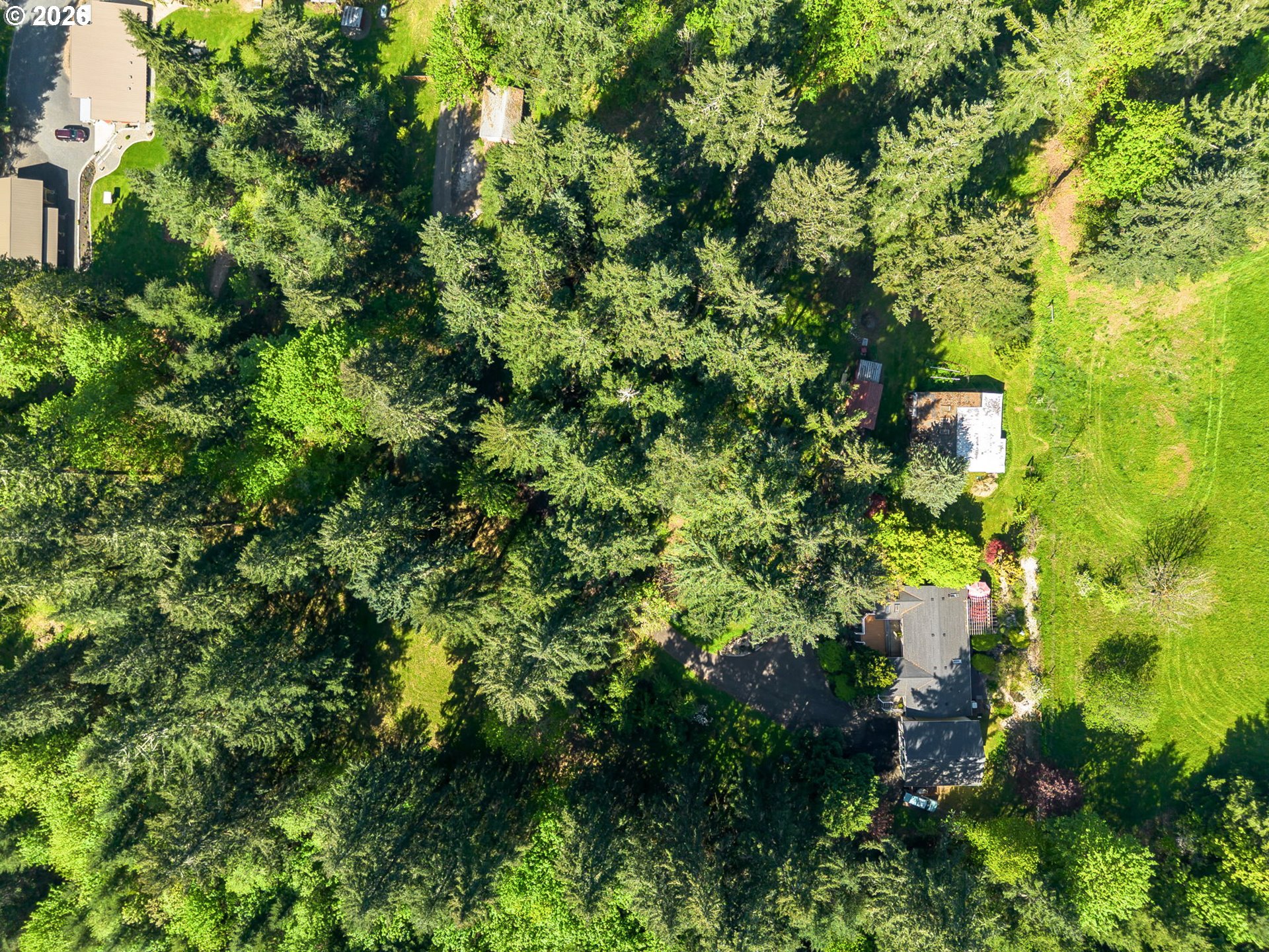 59364 BLUEBERRY LN, St. Helens