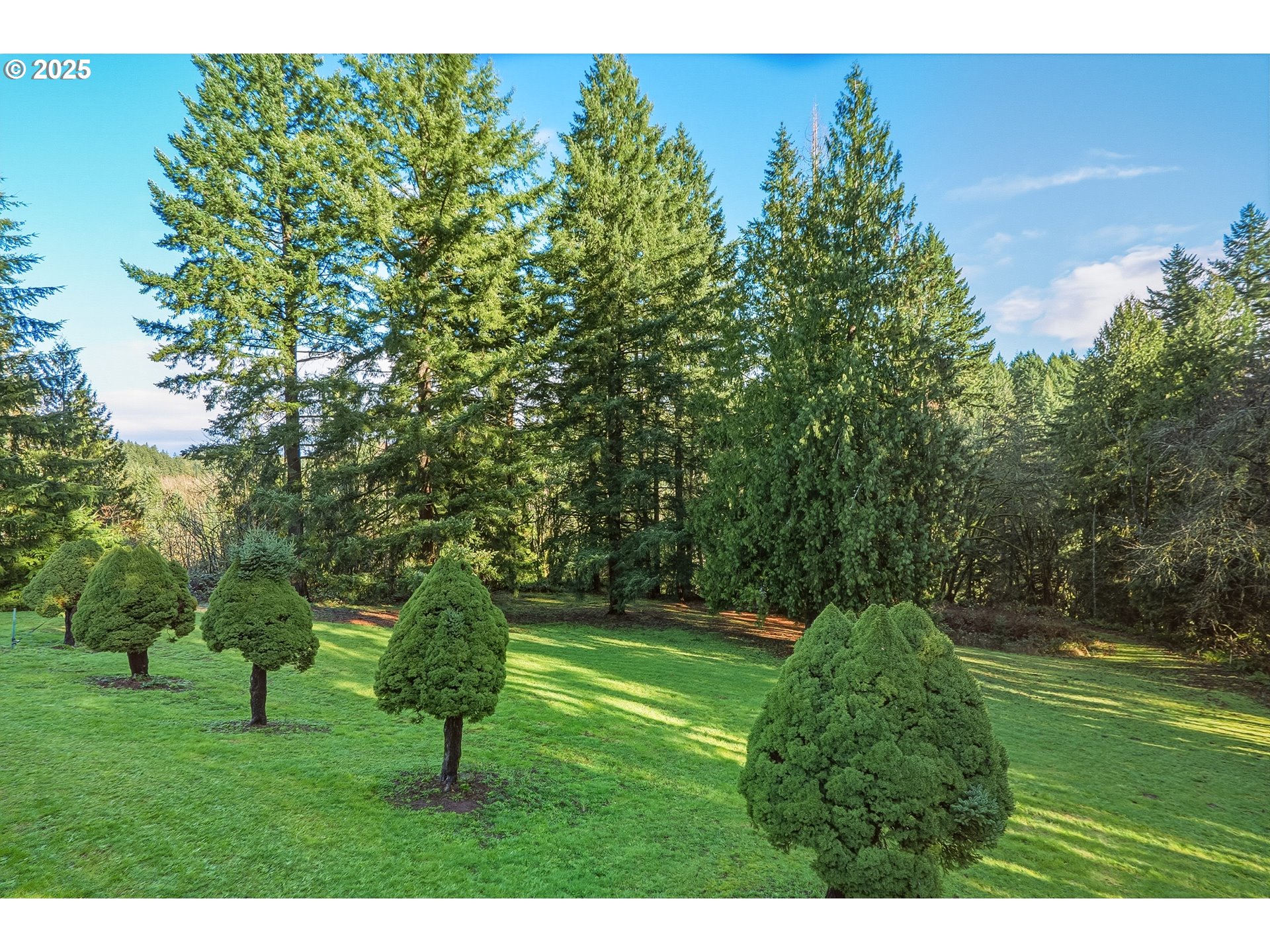 29201 SE HILLYARD DR