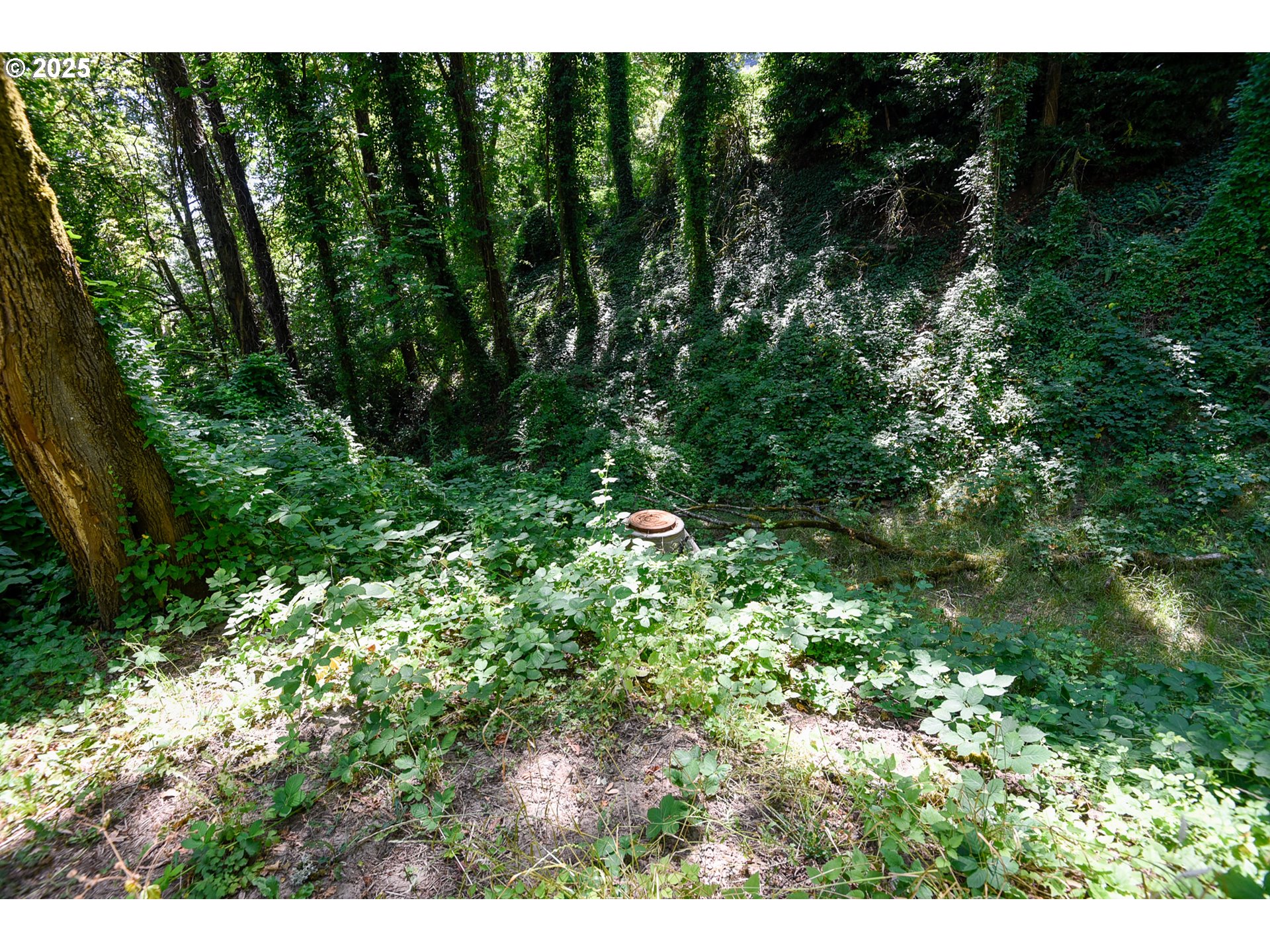 SW CONDOR AVE, Portland