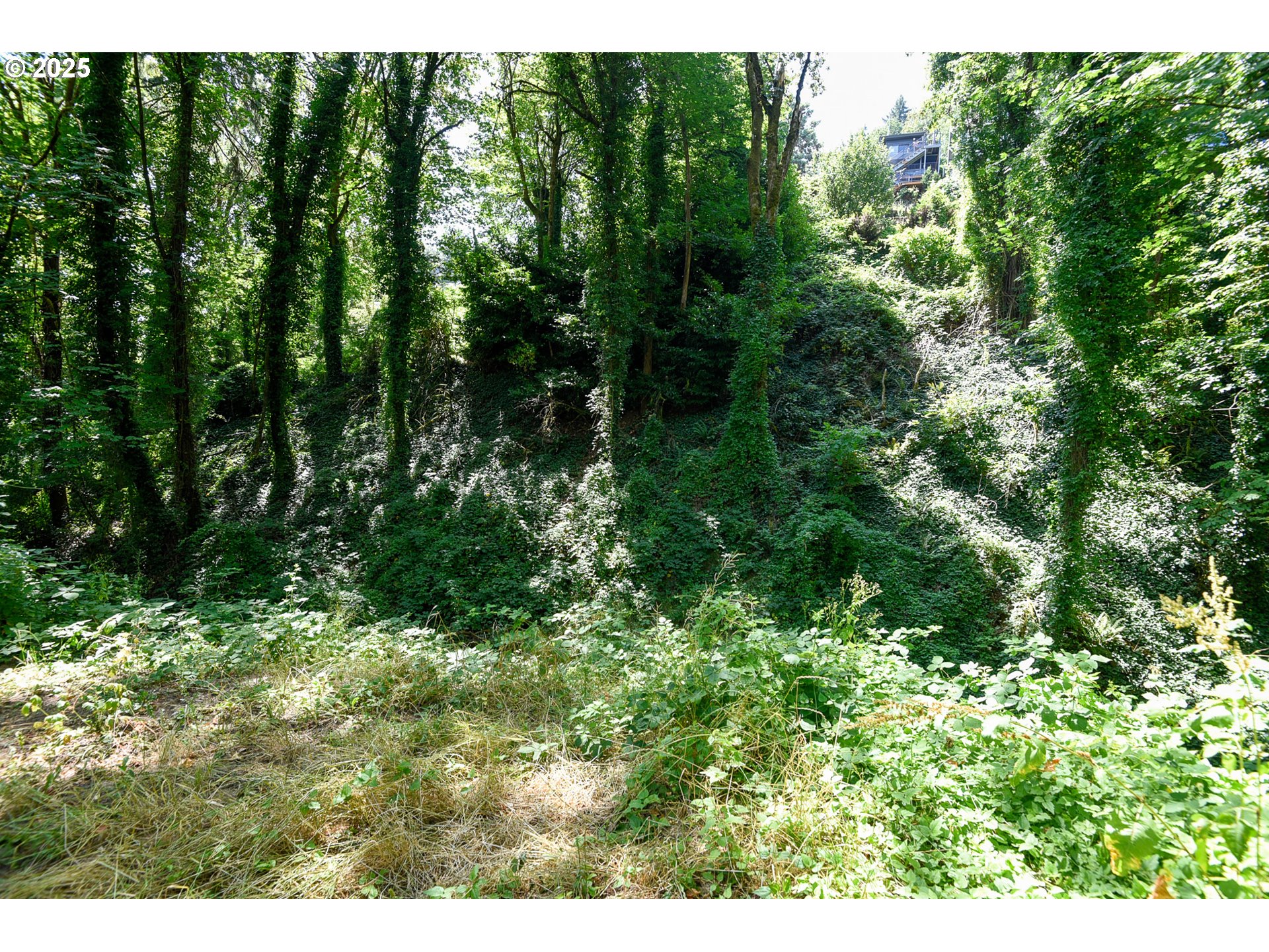 SW CONDOR AVE, Portland