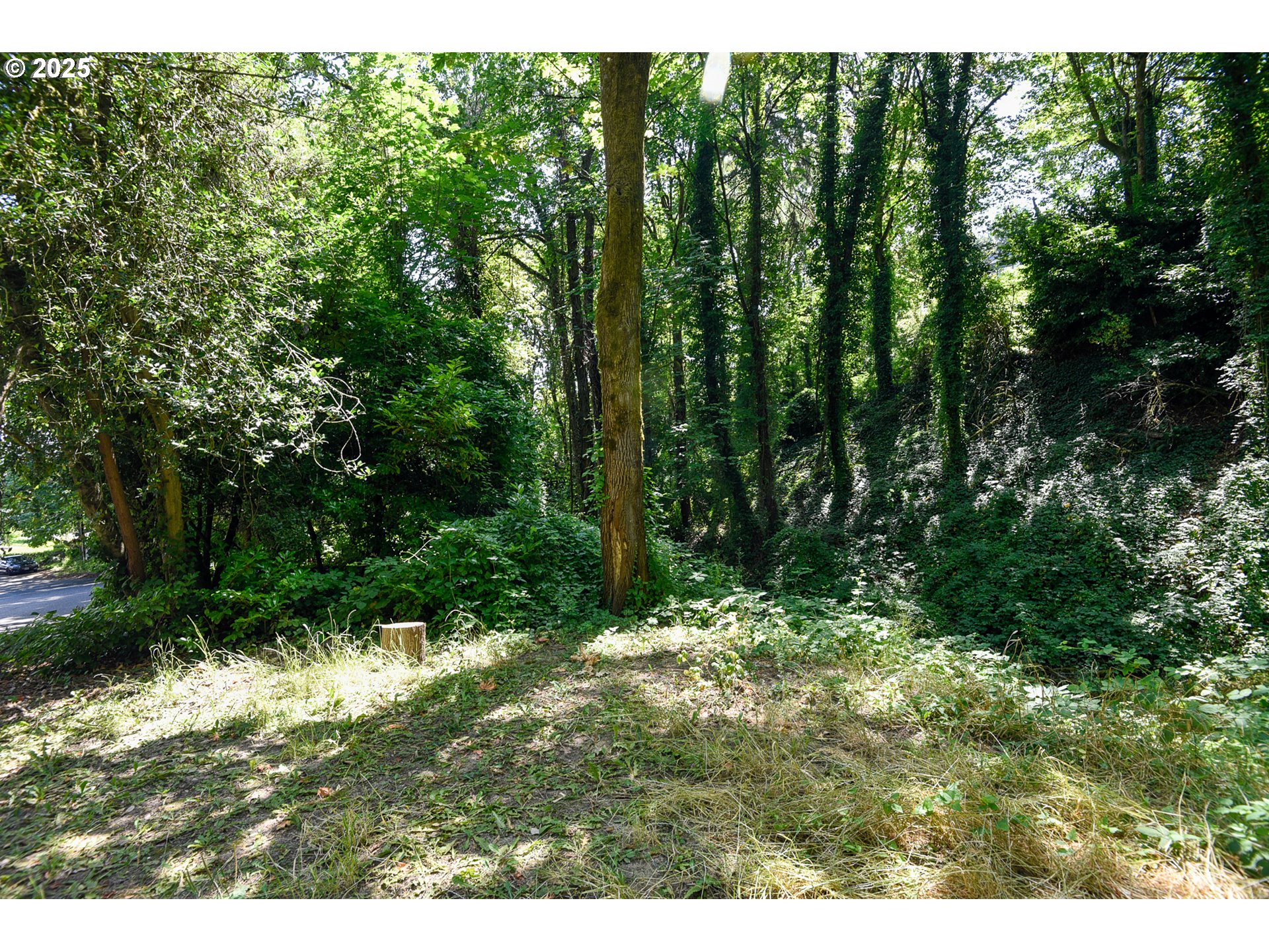 SW CONDOR AVE, Portland