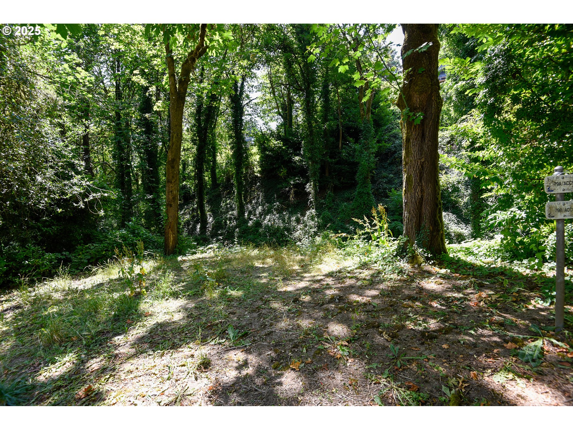 SW CONDOR AVE, Portland