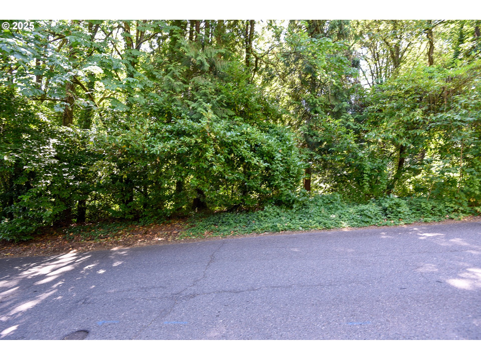 SW CONDOR AVE, Portland