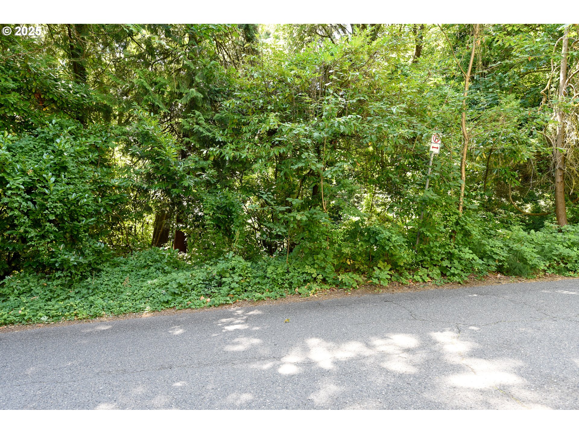 SW CONDOR AVE, Portland