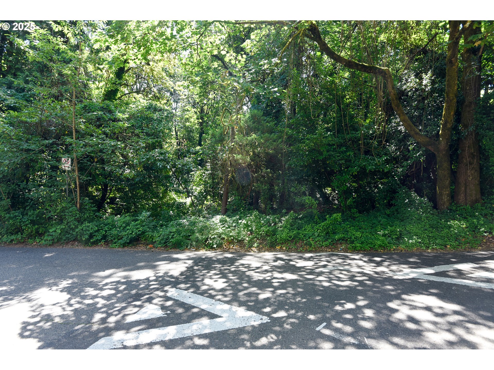 SW CONDOR AVE, Portland