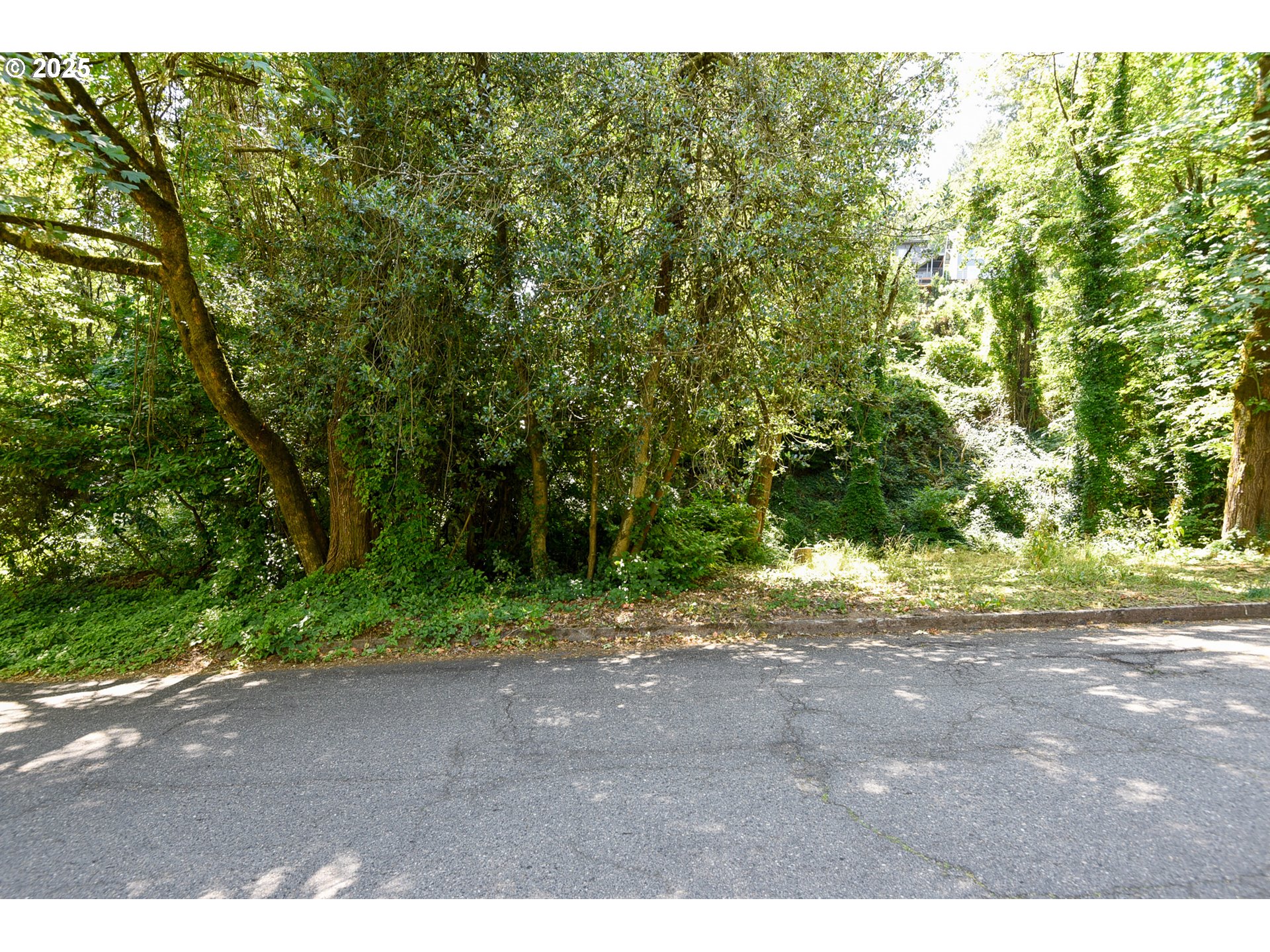 SW CONDOR AVE, Portland