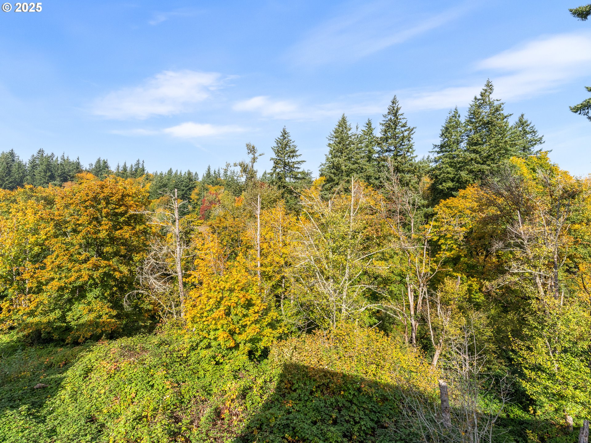 841 SW 49th DR, Gresham