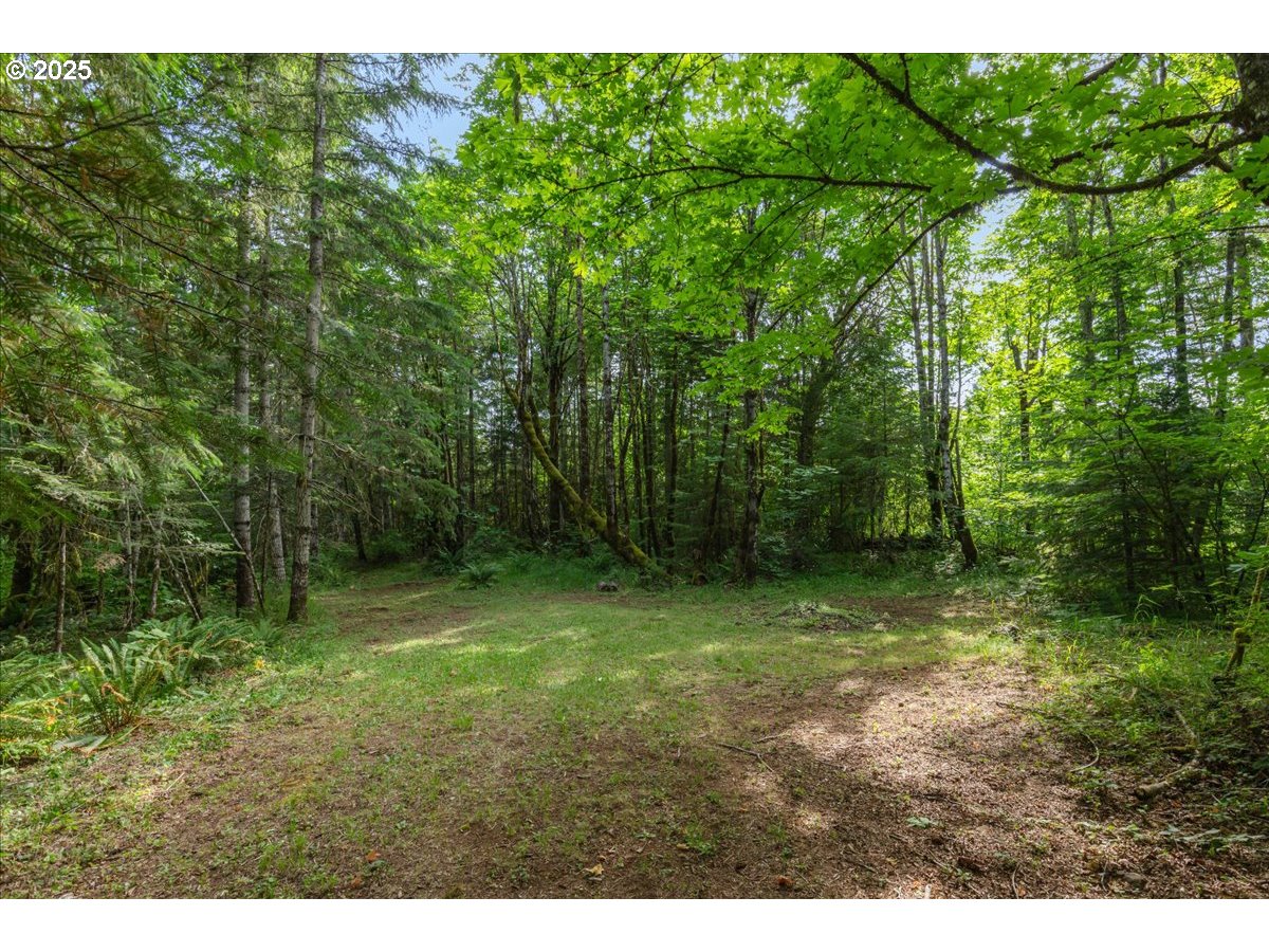 23175 SW PEAVINE RD, McMinnville