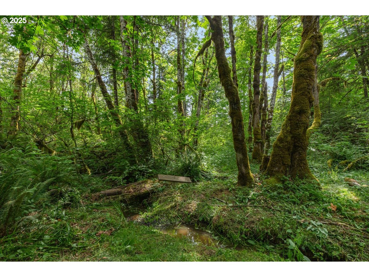 23175 SW PEAVINE RD, McMinnville