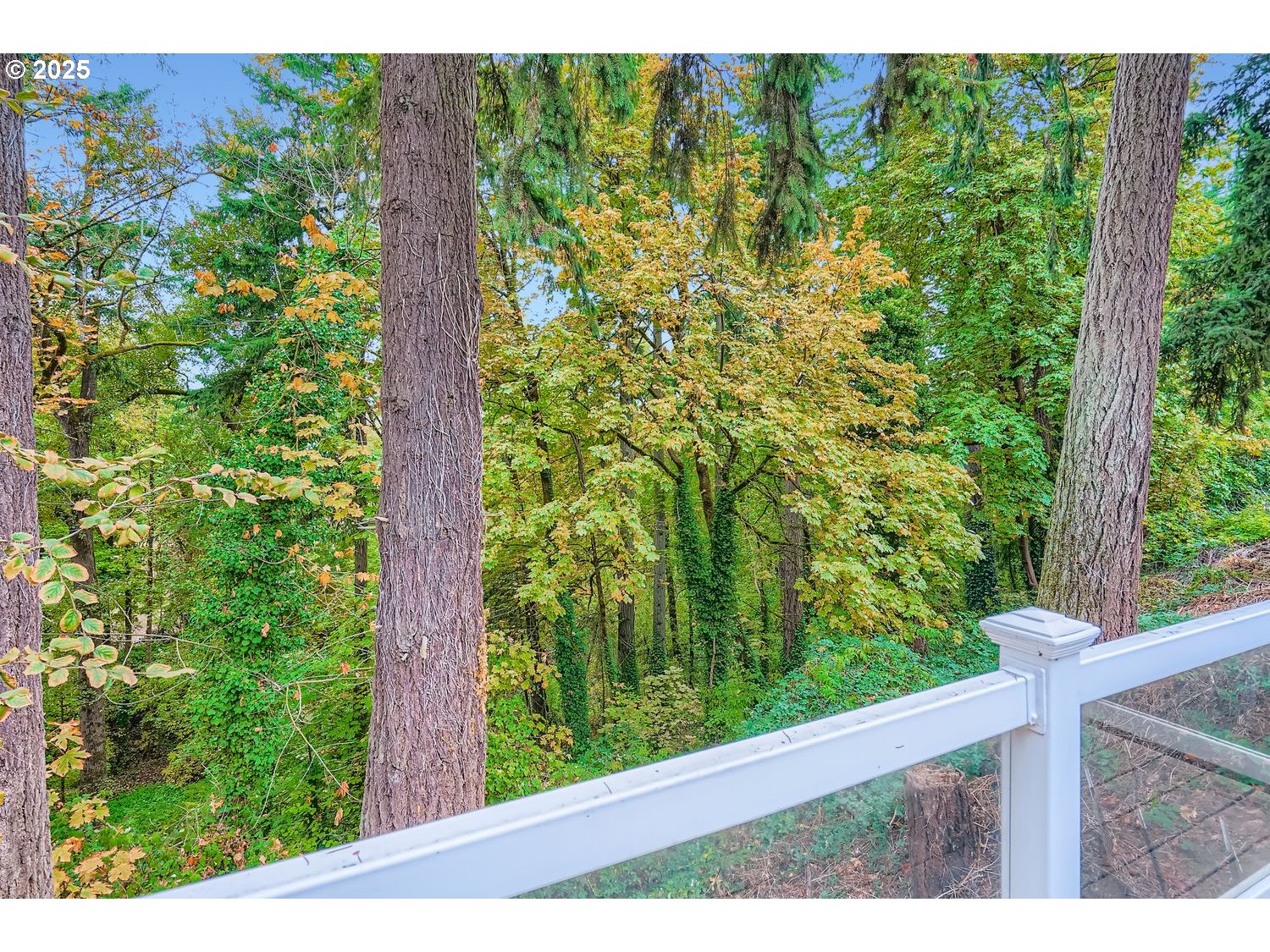 8295 WHEATLAND RD, Keizer