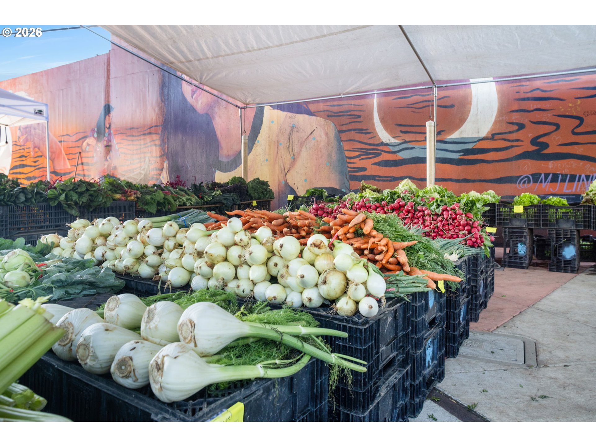 12932 SW SEVILLA AVE