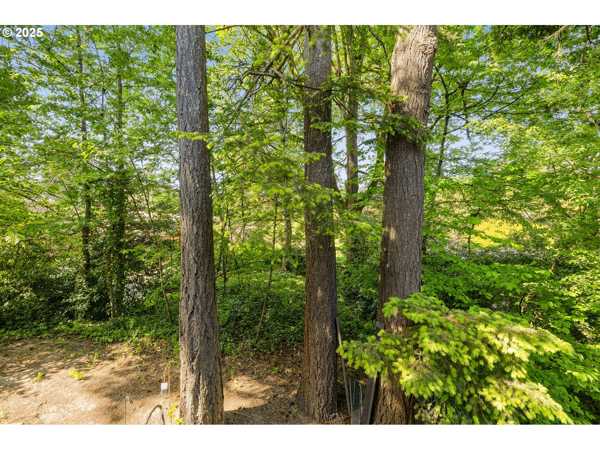 2409 SW NEBRASKA ST 10