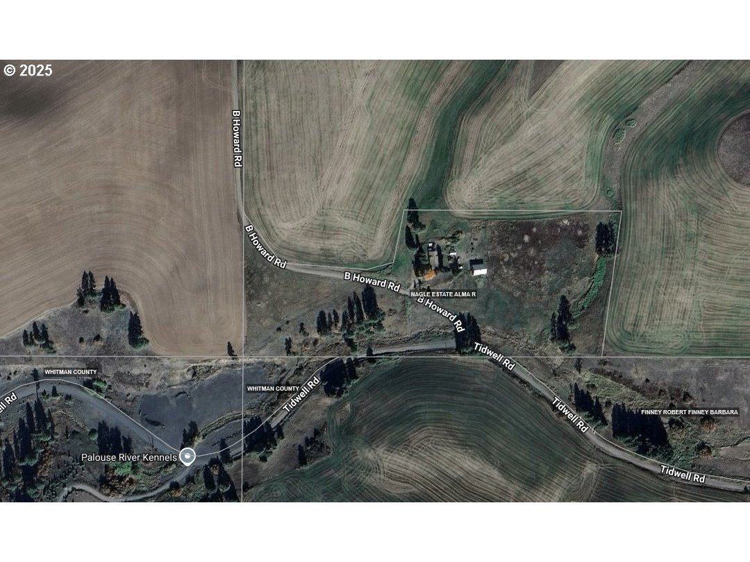 21 B Howard, Palouse