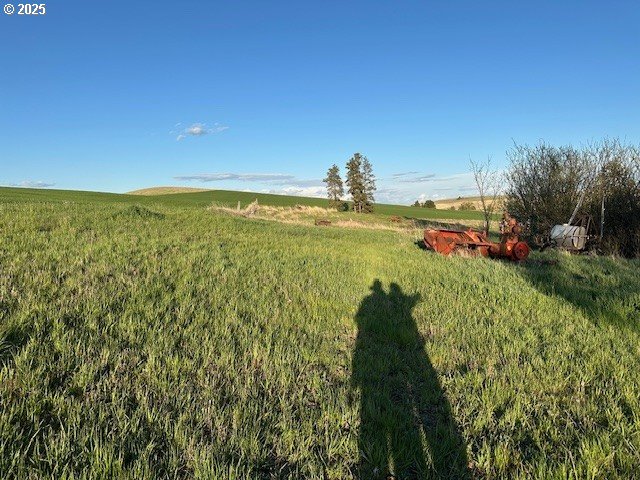 21 B Howard, Palouse