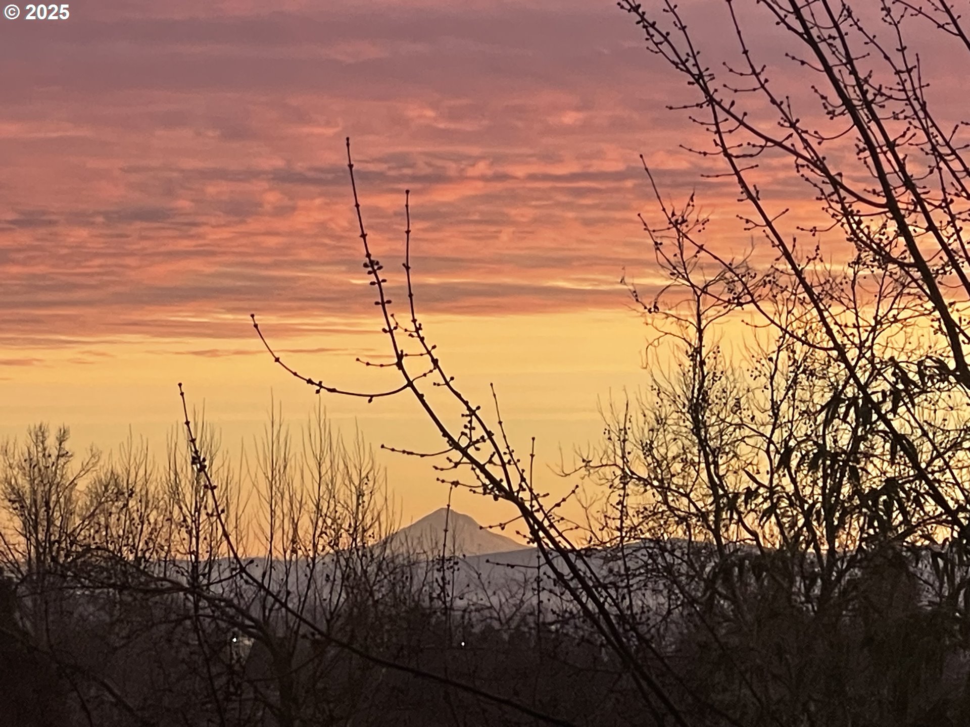 4020 MANDY AVE, Salem