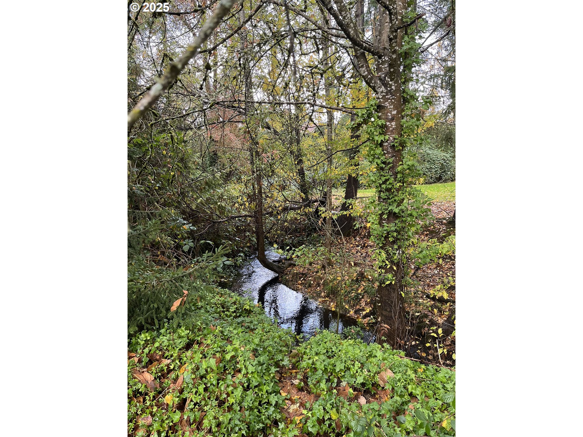 1215 NW DRIFTWOOD PL, McMinnville