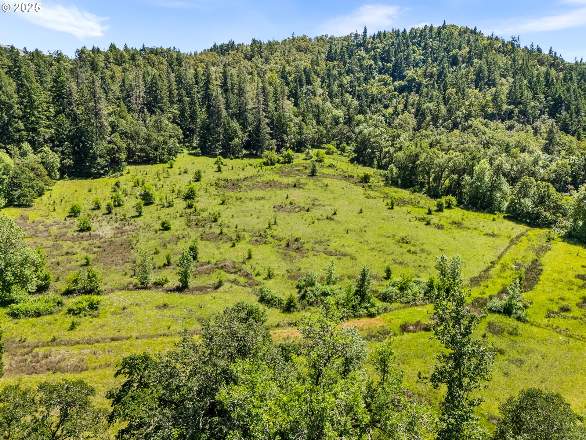 NE NEWTON CREEK DR, Roseburg