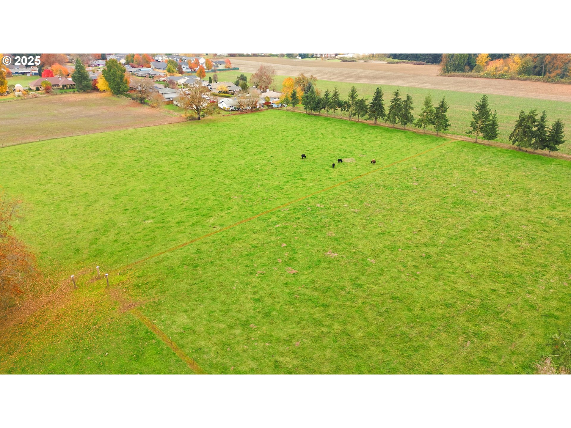 12324 W CHURCH RD, Mt. Angel