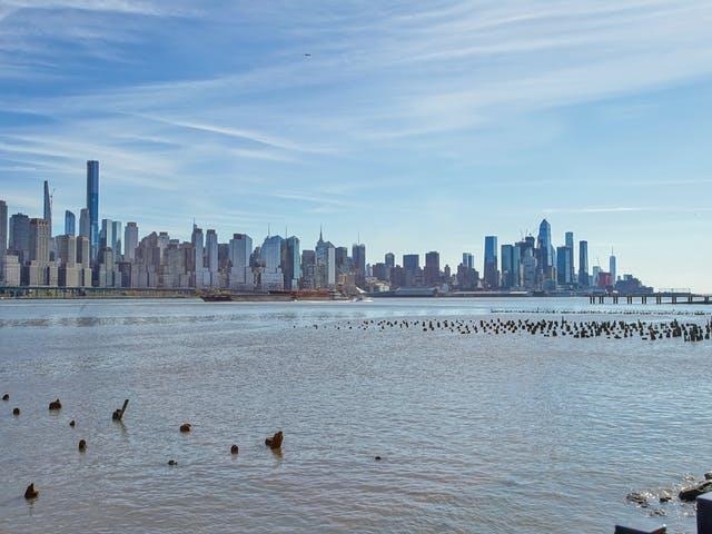 481 BUFFALO CT