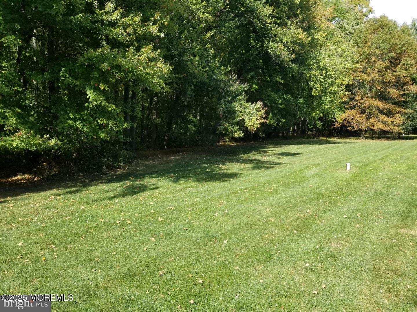 12 Dutchess Drive