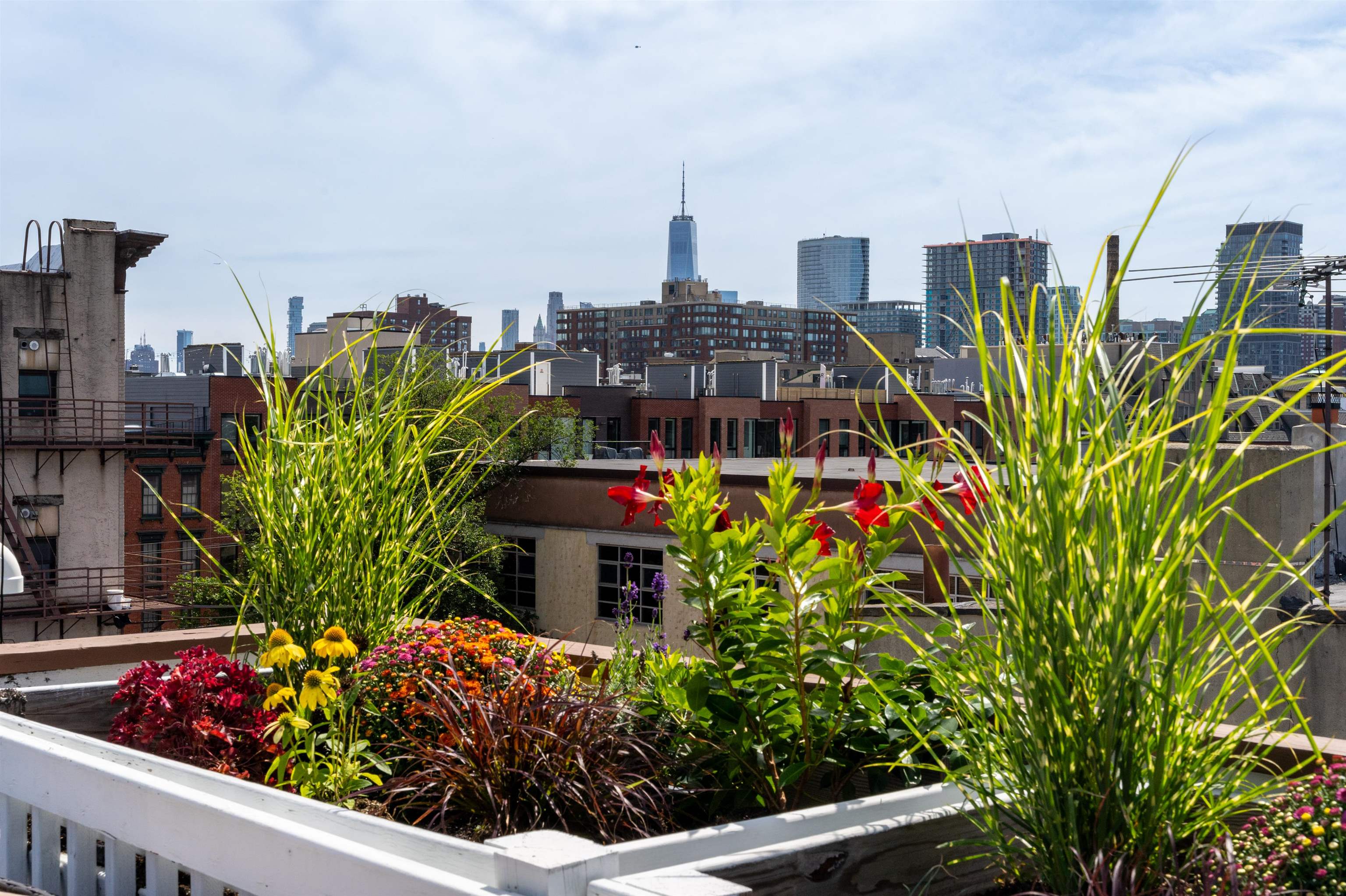 205 ADAMS ST Unit: 4
