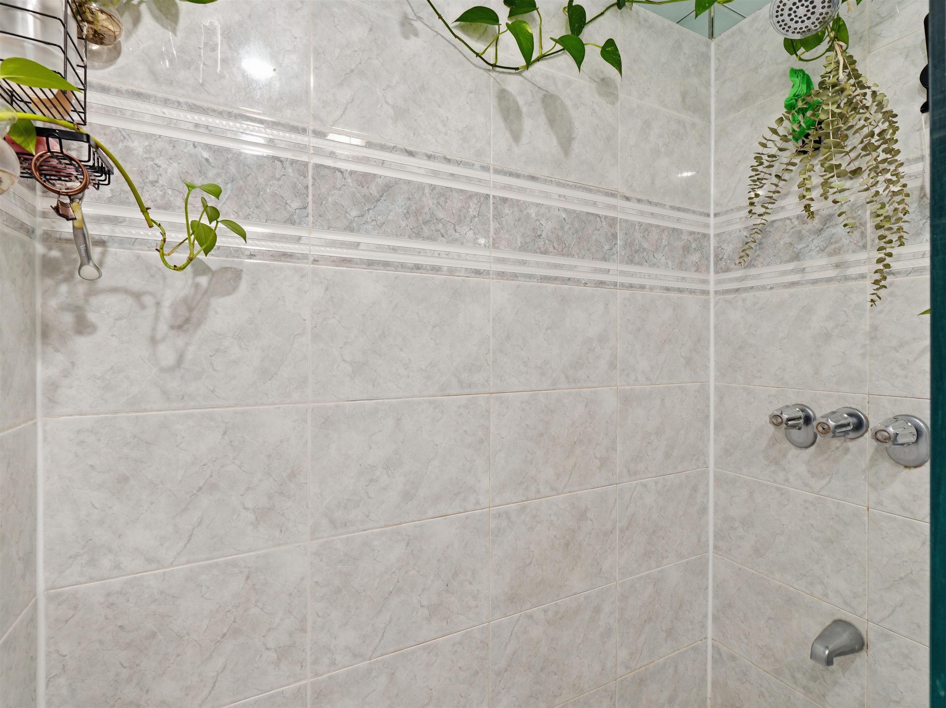 219 BLOOMFIELD ST Unit: B3