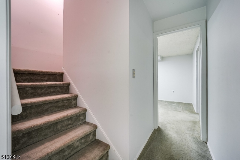 1805 Scarlett Dr