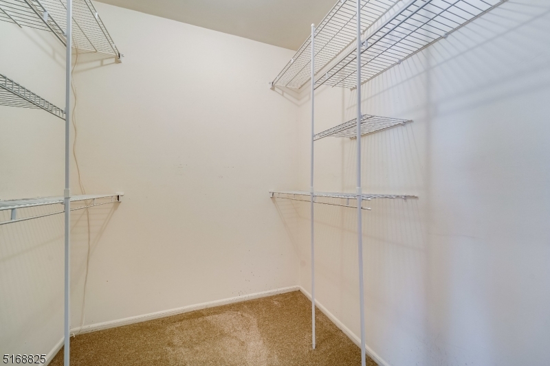 1805 Scarlett Dr